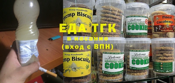 хмурый Алексин