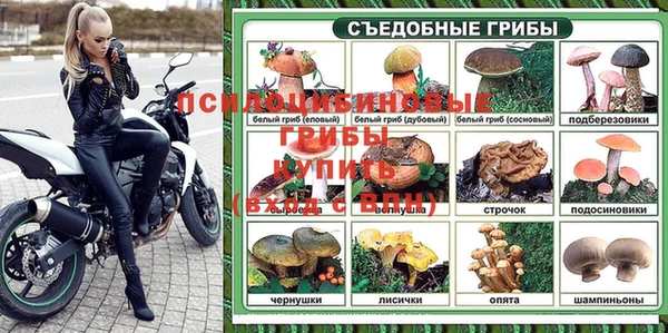 таблы Сосновка