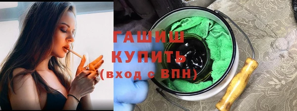 хмурый Алексин