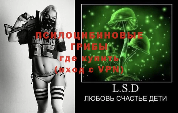 мяу мяу мука Алзамай