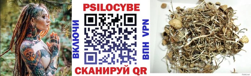 сколько стоит  даркнет как зайти  Галлюциногенные грибы Psilocybine cubensis  Буй 